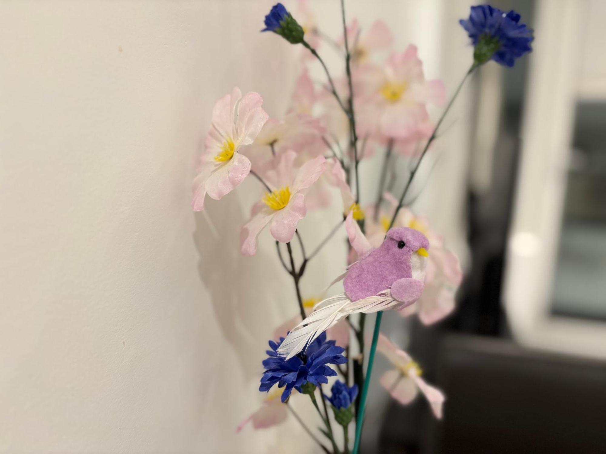 Cozy Family Suite In Vancouver Near Ubc Ngoại thất bức ảnh
